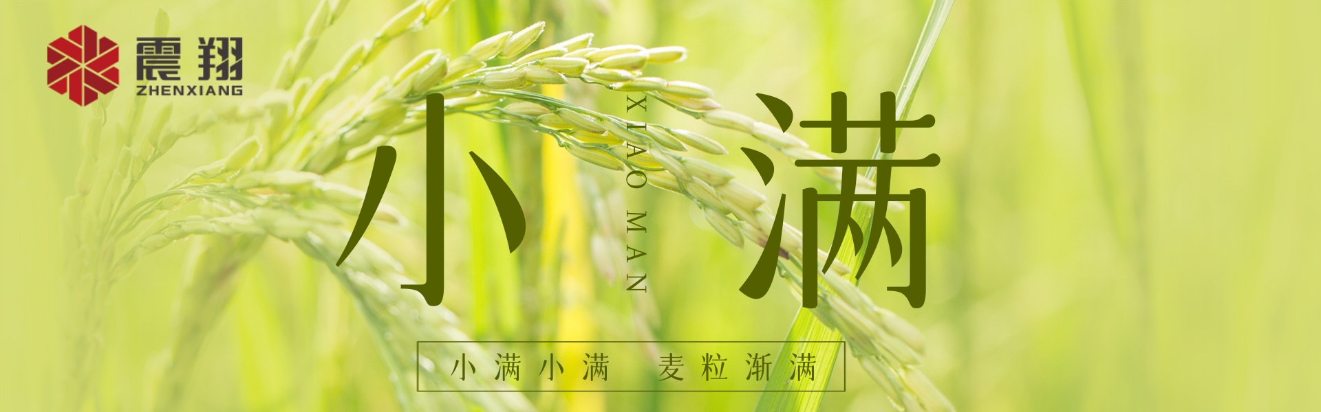 小滿(mǎn)|???????小滿(mǎn)小滿(mǎn)，江河漸滿(mǎn)。