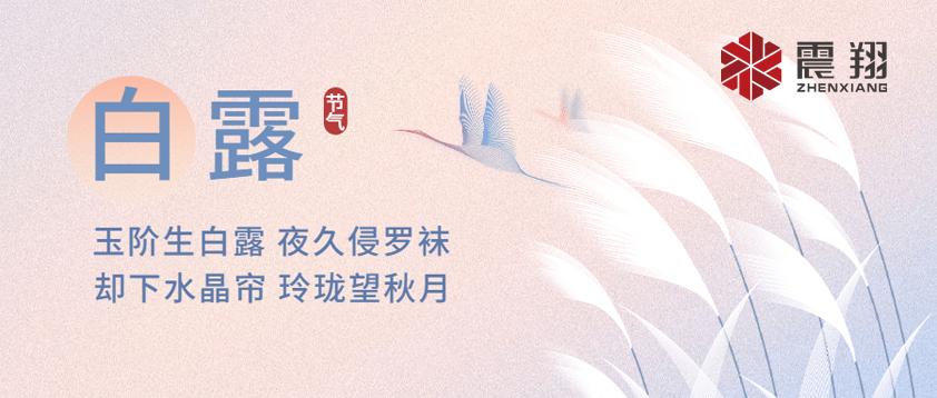 白露|露已凝，夜微涼